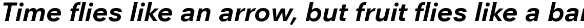 Neuzeit Office Com Bold Italic