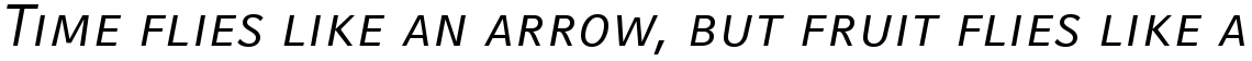 Compatil Fact Com Italic SC