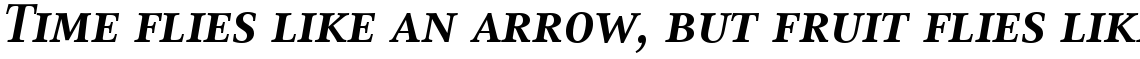 Compatil Text Com Bold Italic SC