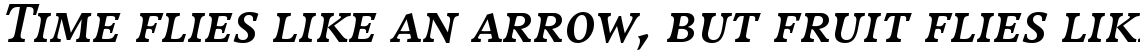 Compatil Exquisit Com Bold Italic SC