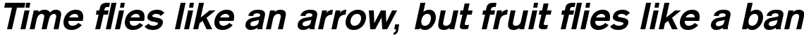 Basic Commercial Com Bold Italic