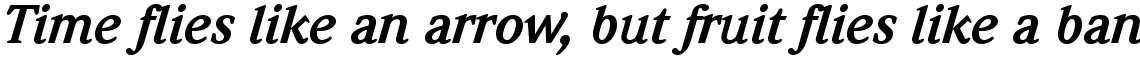 ITC Weidemann Com Bold Italic
