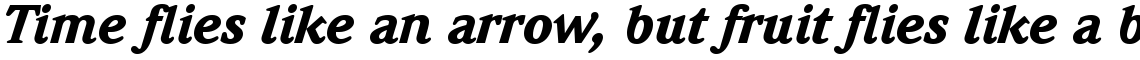ITC Weidemann Com Black Italic