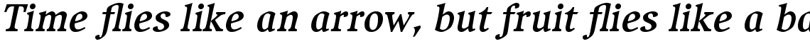 Compatil Exquisit Com Bold Italic
