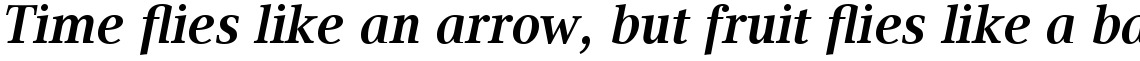 Compatil Text Com Bold Italic