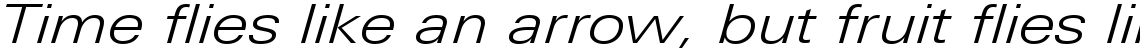 Linotype Univers Com 341 Extended Light Italic