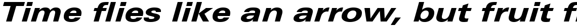 Linotype Univers Com 741 Extended Heavy Italic
