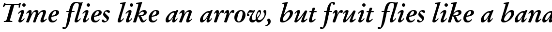 Stempel Garamond Com Bold Italic