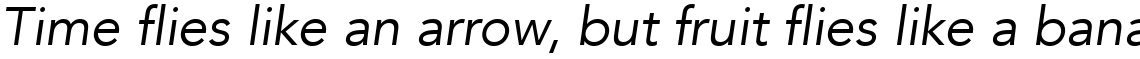Avenir Com 45 Book Oblique