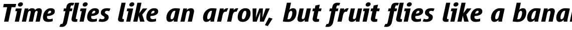 Vialog Com Bold Italic