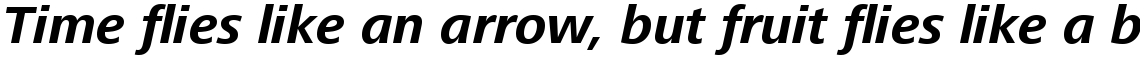 Frutiger Next Com Bold Italic