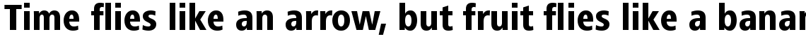 Frutiger Next Com Condensed Heavy