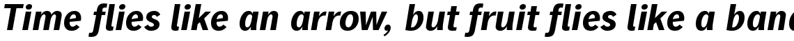 Linotype Gothic Com Bold Italic