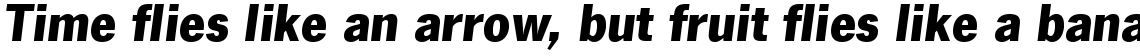 News Gothic No. 2 Com Black Italic