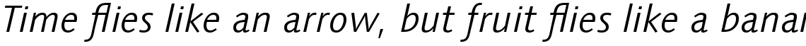 Linotype Syntax Com Light Italic