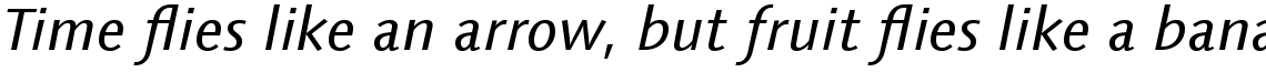 Linotype Syntax Com Regular Italic