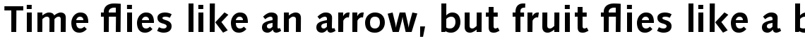 Linotype Syntax Com Bold
