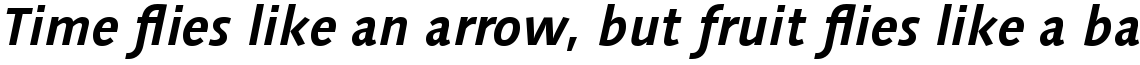Linotype Syntax Com Bold Italic