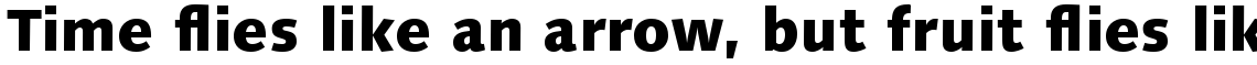 Linotype Syntax Com Heavy