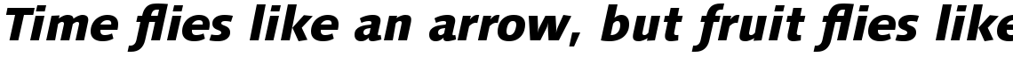 Linotype Syntax Com Heavy Italic