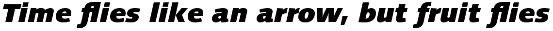 Linotype Syntax Com Black Italic
