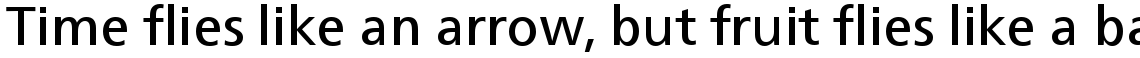 Neue Frutiger Com Basic Family Pack