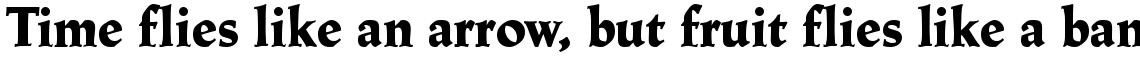 Linotype Trajanus Black