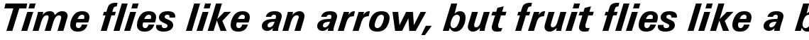 Univers 66 Bold Italic