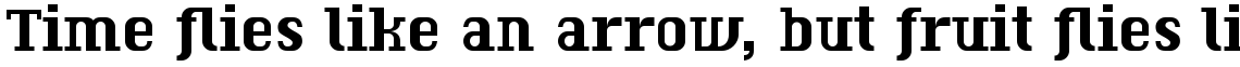 F2F Czykago Semi Serif