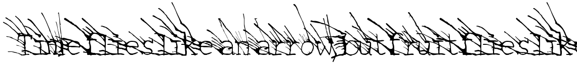 Linotype Grassy Regular