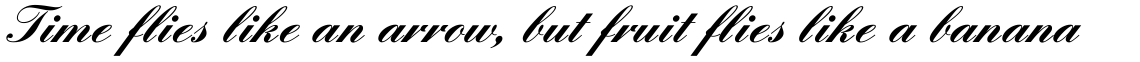 English Script Bold