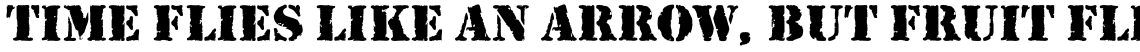 Rubber Stamp Regular