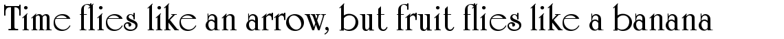 University Roman Bold