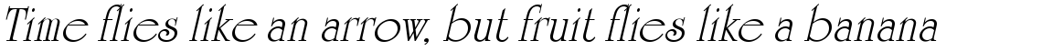 University Roman Italic