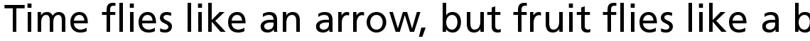 Frutiger 55 Roman