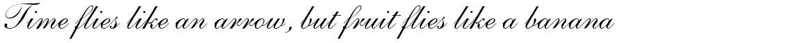Shelley Script Andante