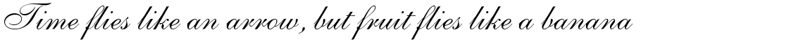 Shelley Script Allegro