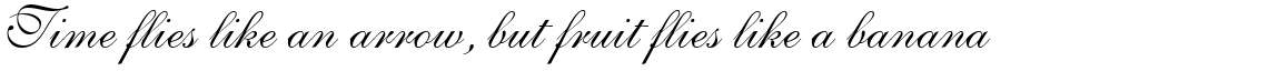Shelley Script Volante