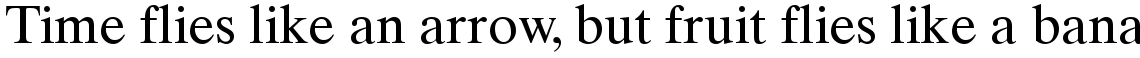 Times Ten Cyrillic Upright
