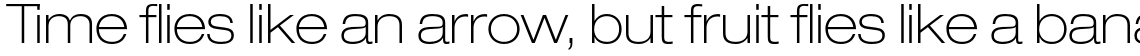 Neue Helvetica Pro 33 Thin Extended