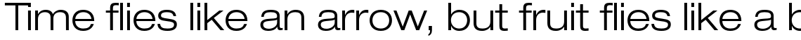 Neue Helvetica Pro 43 Light Extended