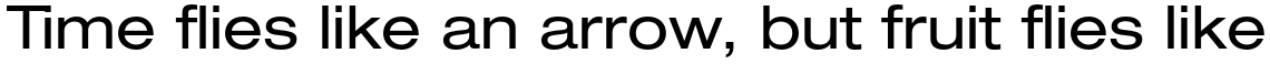 Neue Helvetica Pro 53 Extended