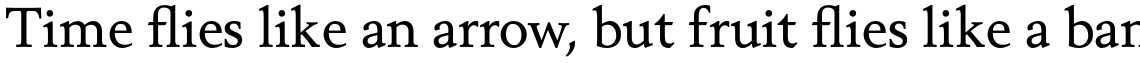 Berling Nova Pro Text Regular