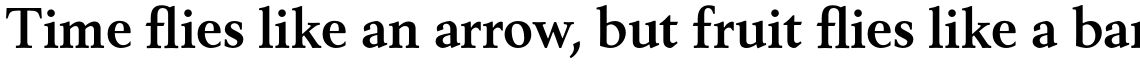 Berling Nova Pro Text Bold