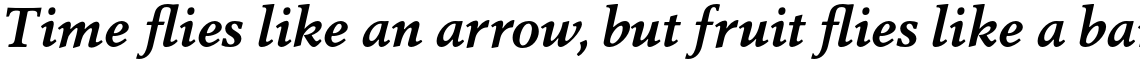 Berling Nova Pro Text Bold Italic