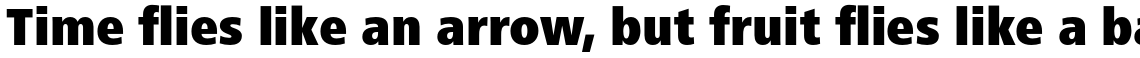 Frutiger Next Pro Condensed Black