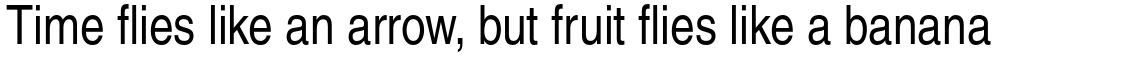 Helvetica Pro Narrow Roman