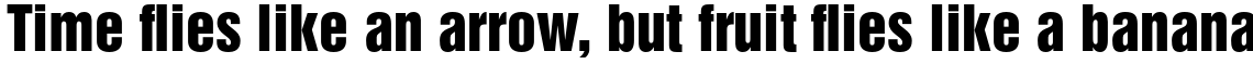 Helvetica Pro Inserat Roman