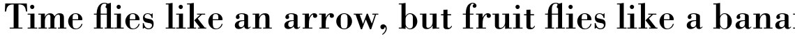 Bodoni Pro Roman