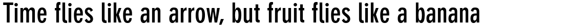 DIN Neuzeit Grotesk Pro Bold Condensed